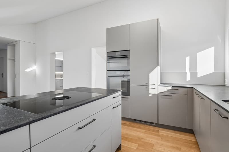 Grosszügige 3.5 Zimmer Dachwohnung (10)
