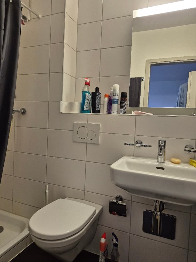 1-room apartment in beautiful Murten (3)