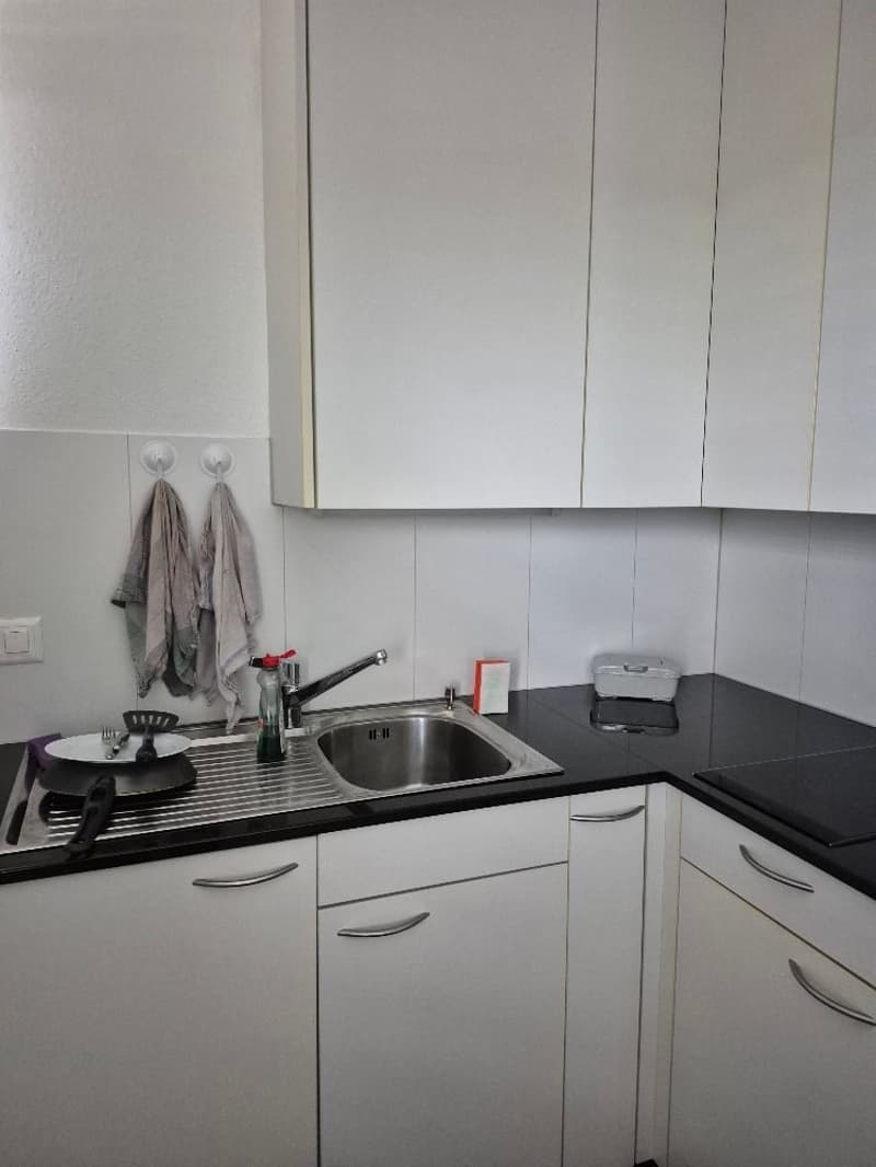 1-room apartment in beautiful Murten (2)