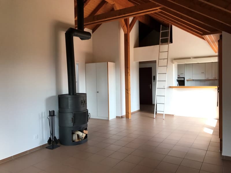 Incantevole appartamento mansardato di 2,5 locali con balcone (3)