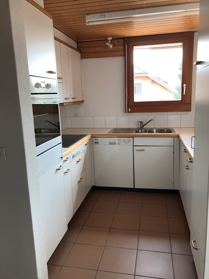 Incantevole appartamento mansardato di 2,5 locali con balcone (6)