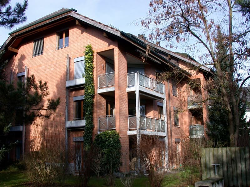 Incantevole appartamento mansardato di 2,5 locali con balcone (1)