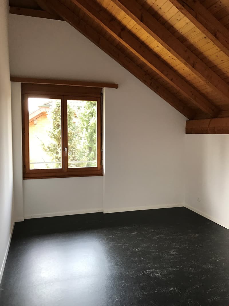 Incantevole appartamento mansardato di 2,5 locali con balcone (5)