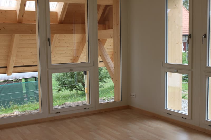 Appartement de 4,5 pièces dans une ferme historique à louer (3)