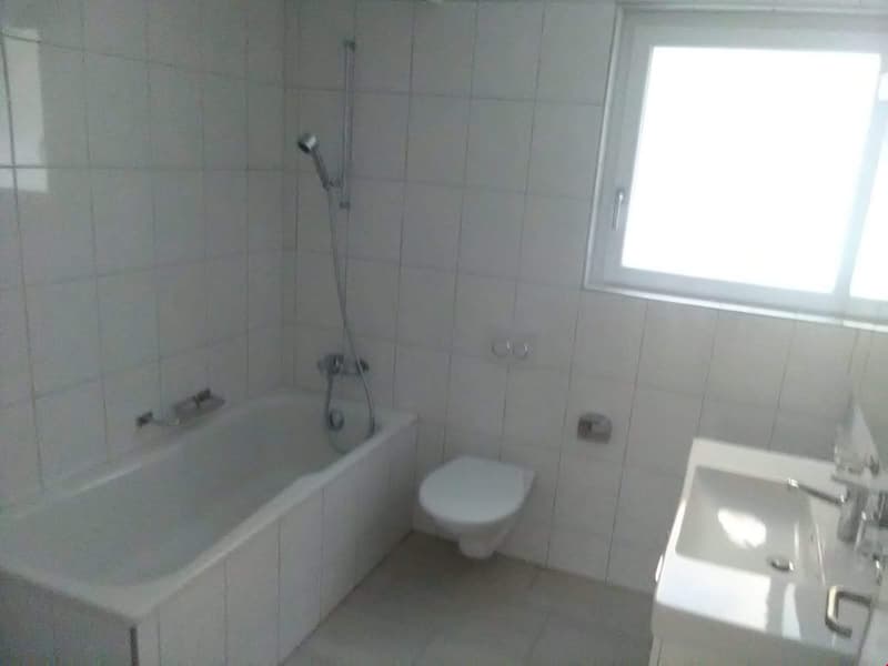 Bel appartement 3.5 pièces dans le rural Mühleberg (7)