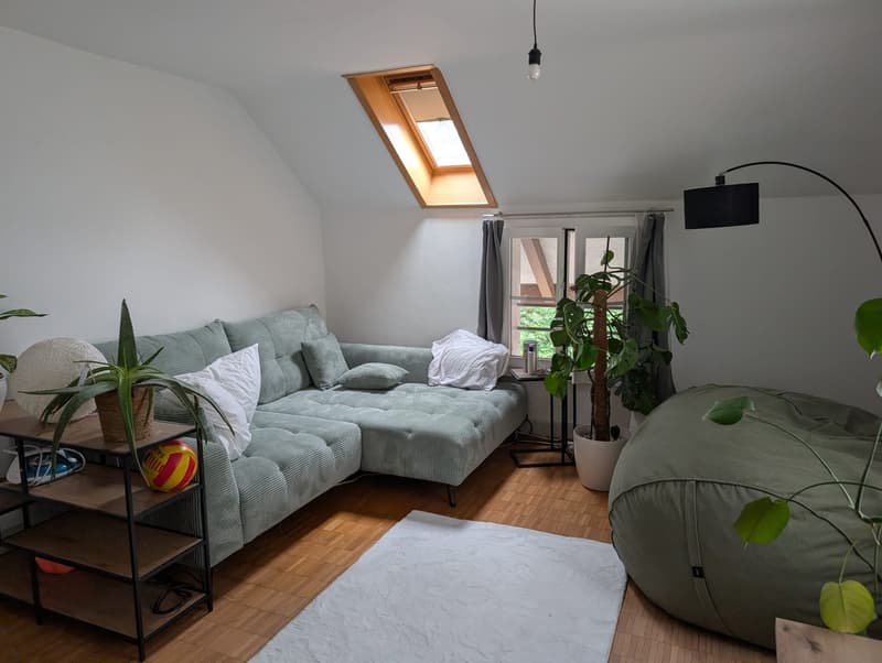 Befristete 3-Zimmer-Dachwohnung nahe Lorrainebad (bis 15.12.2026) (1)