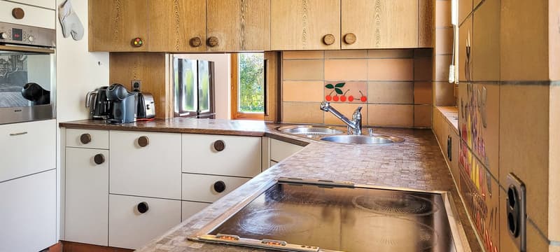 kitchen area with two sinks, induction cooktop, cabinets, toaster, coffee machine, microwave