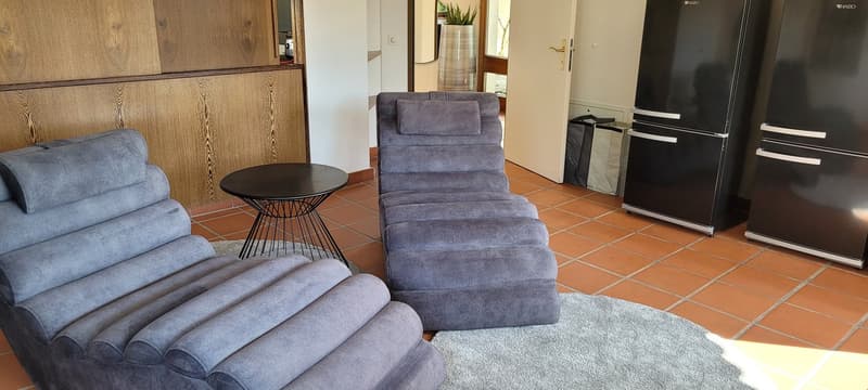 large windows, grey sofa, round table, carpet, modern design