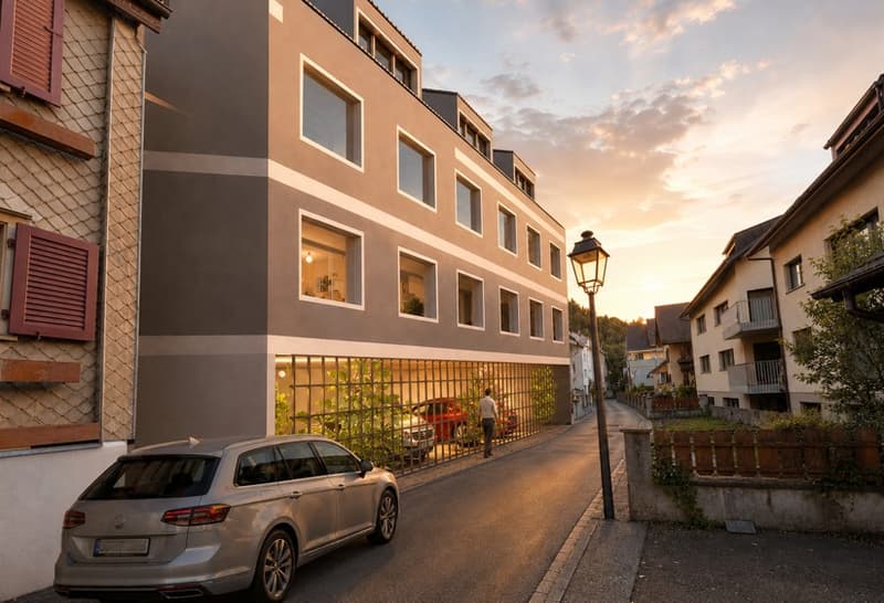 12 Wohneinheiten / Parkgarage / Entwicklungsareal mit Bestandes Objekten (1)