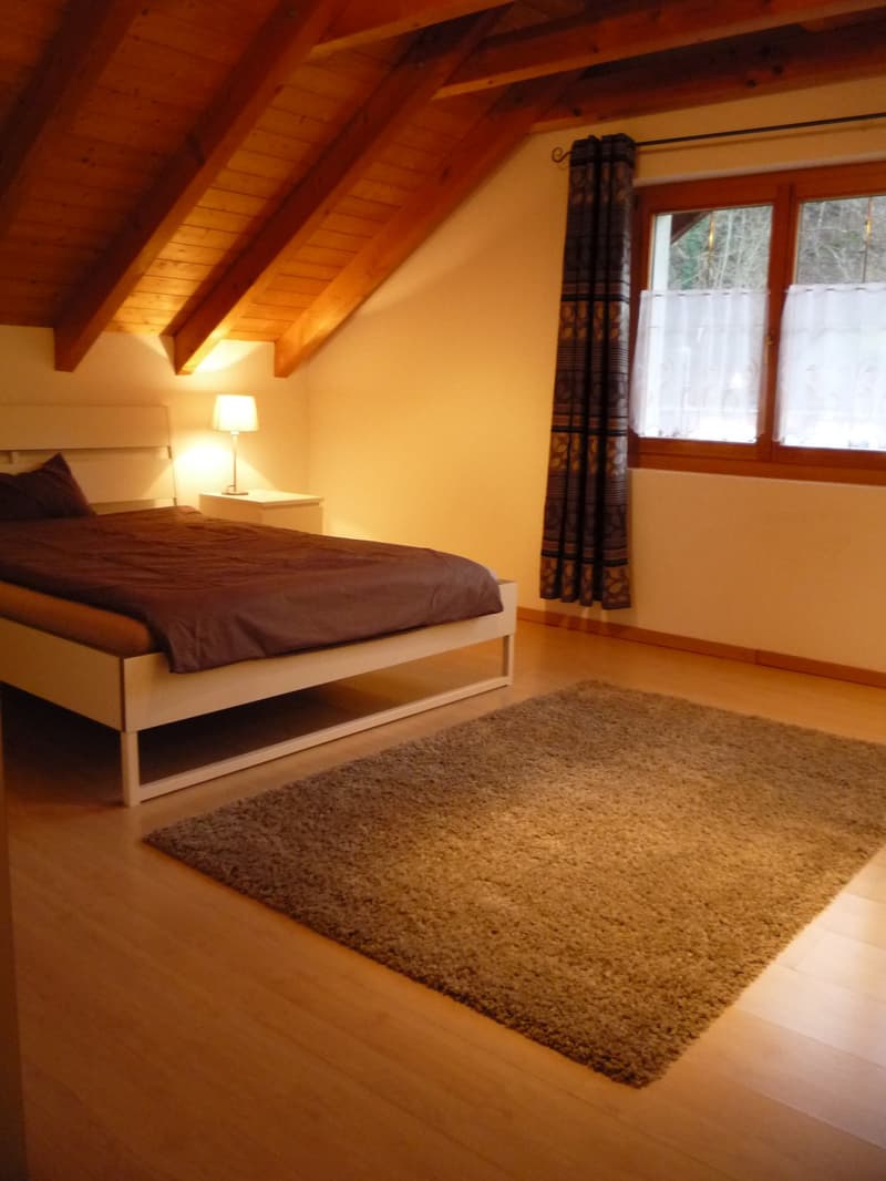 Einfamilienhaus mit zusätzlicher Einliegerwohnung (4)