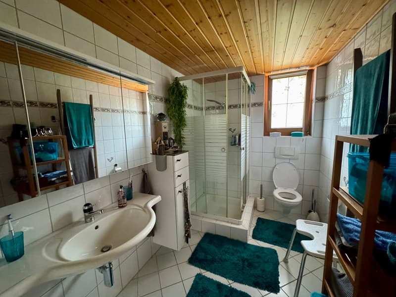 Einfamilienhaus mit zusätzlicher Einliegerwohnung (7)