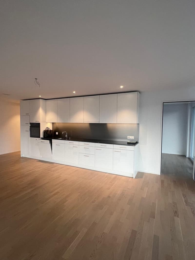 3.5 Zimmerwohnung mit grosszügigen Sonnenterasse (4)