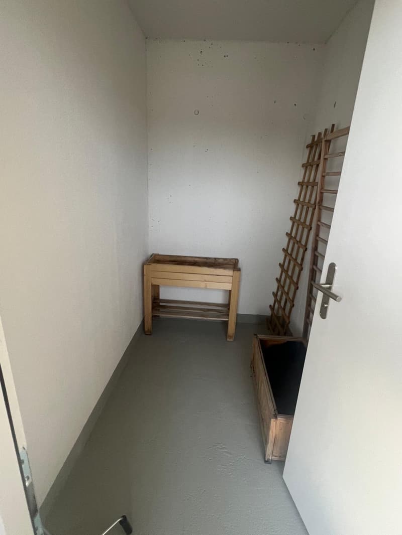 3.5 Zimmerwohnung mit grosszügigen Sonnenterasse (13)