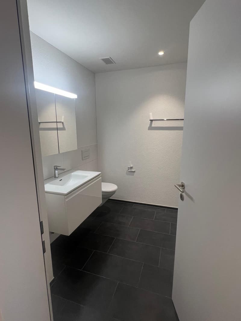 3.5 Zimmerwohnung mit grosszügigen Sonnenterasse (7)