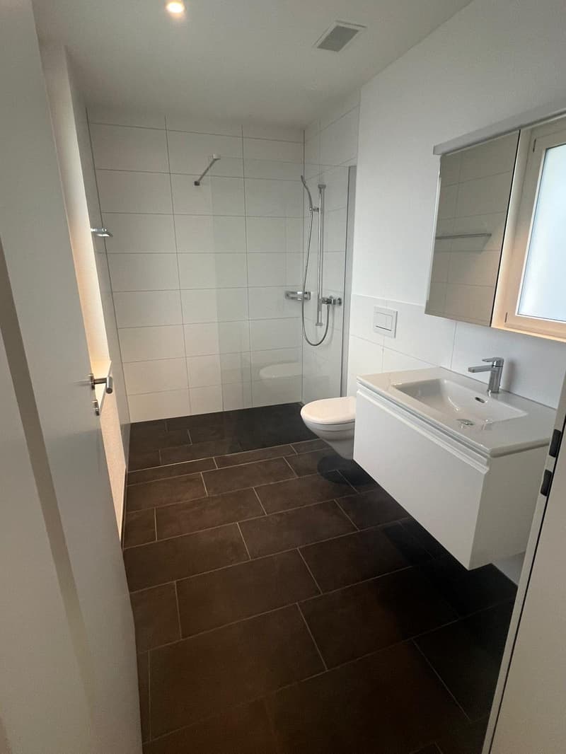 3.5 Zimmerwohnung mit grosszügigen Sonnenterasse (6)