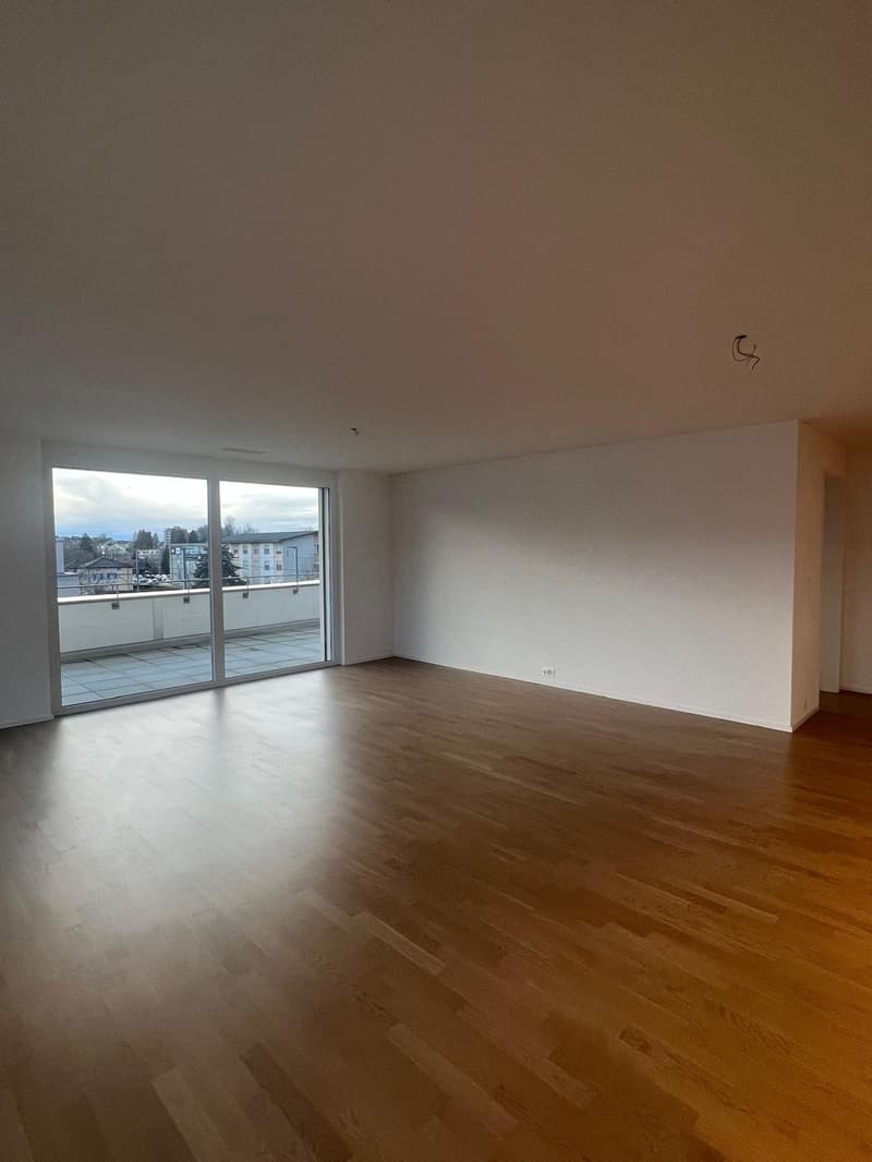 3.5 Zimmerwohnung mit grosszügigen Sonnenterasse (9)