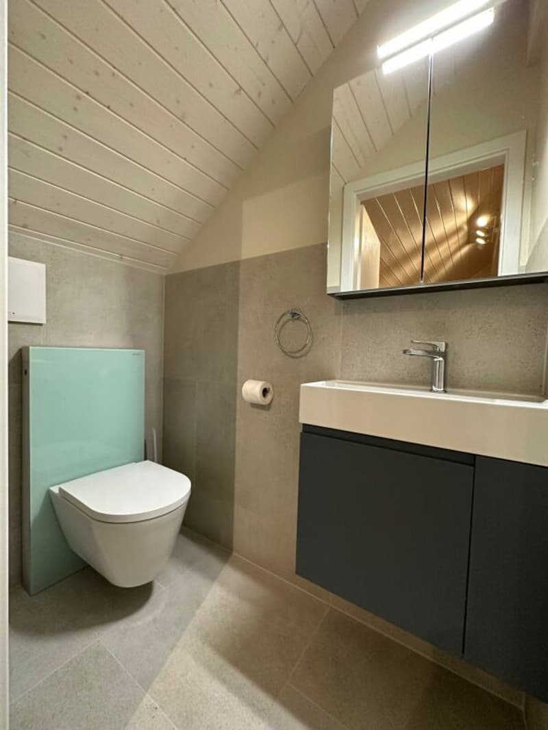 Appartement coup de coeur (7)