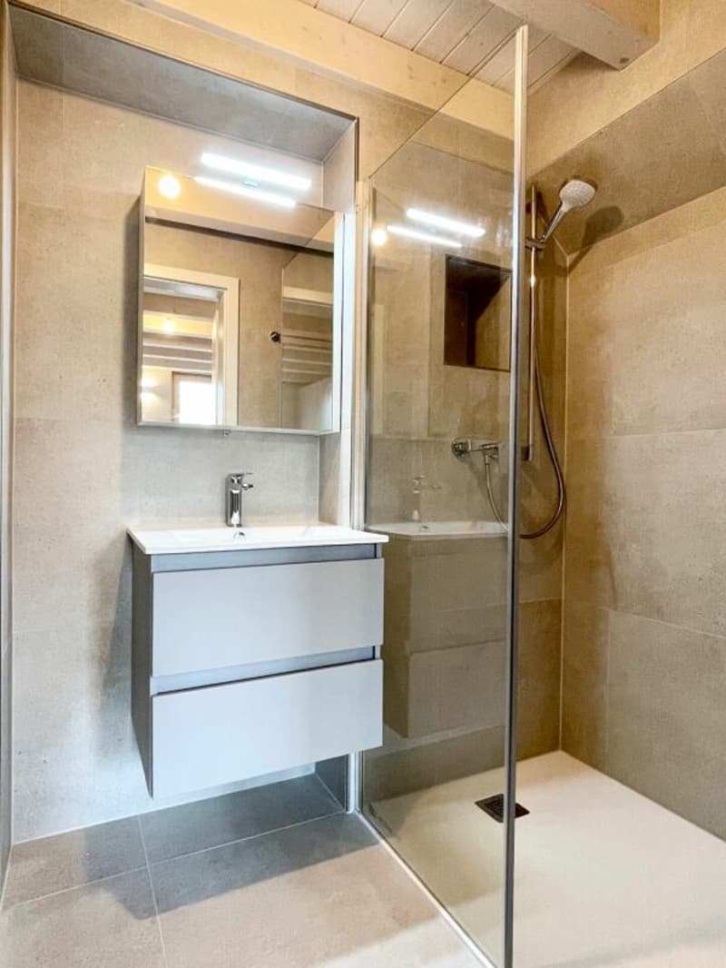 Appartement coup de coeur (4)