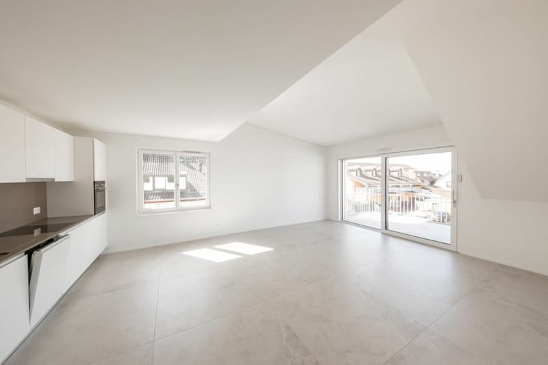 Beautiful 3.5-room apartment - 73m2 (3)