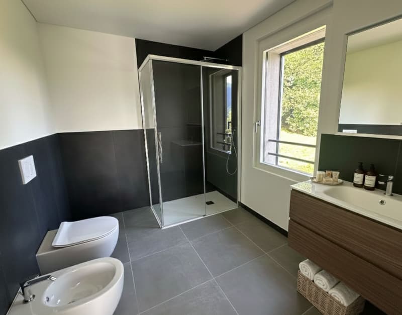 3.5-room apartment with terrace, lake view, and forest view – total relaxation in Residenza Lumino (3)