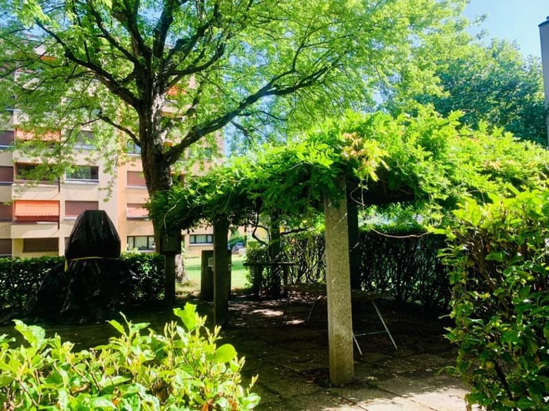 2.5 rooms in quiet area (6)