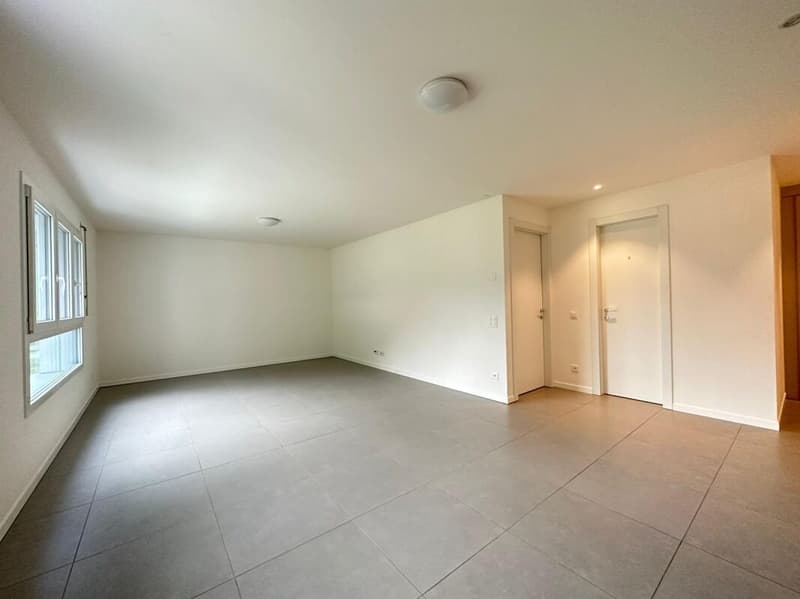CRESCIANO | 3.5 bright rooms (5)
