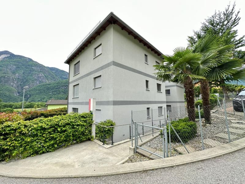 CRESCIANO | 3.5 bright rooms (8)