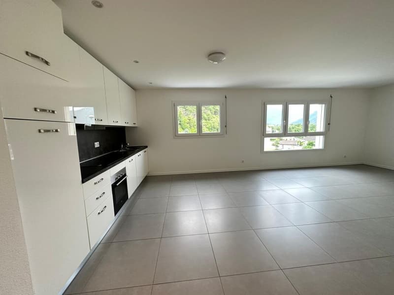 CRESCIANO | 3.5 bright rooms (4)