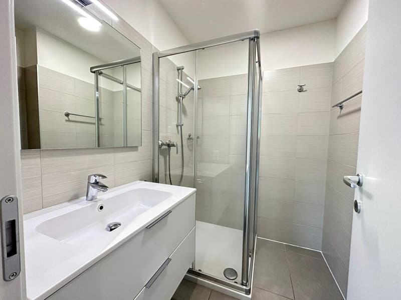 CRESCIANO | 3.5 bright rooms (6)