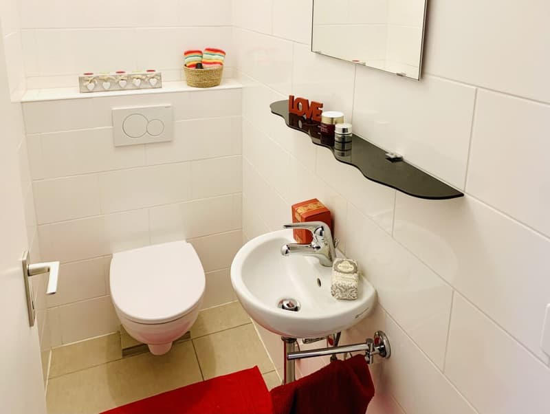 LOCARNO CENTER | 4.5 ROOMS SUNNY (4)
