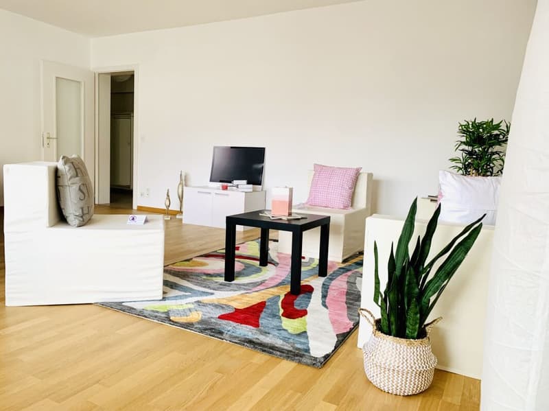 LOCARNO CENTER | 4.5 ROOMS SUNNY (2)