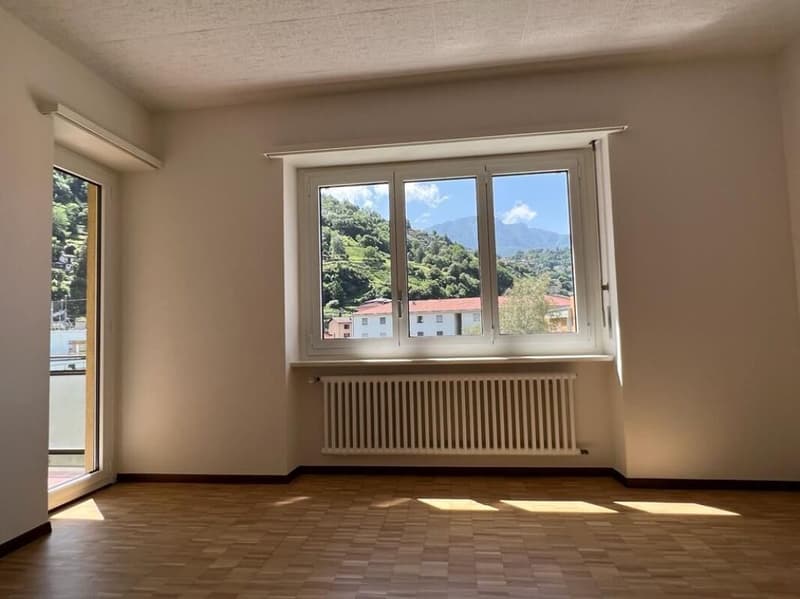 4.5 LOCALI A BELLINZONA | ADATTO PER FAMIGLIE (4)