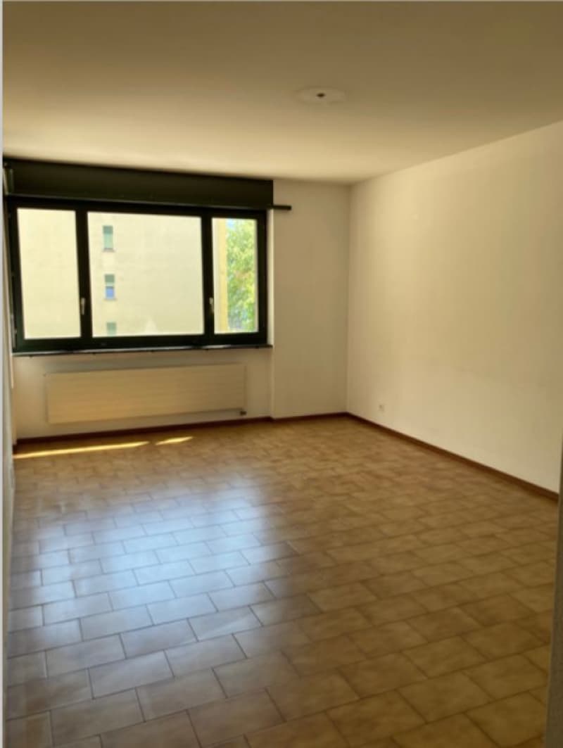 BIASCA | ESPACIEUX 4.5 | ESPACE ET CONFORT | (4)