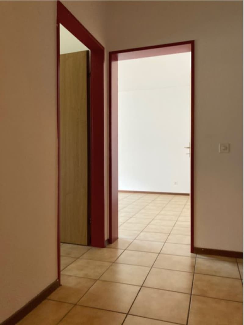 BIASCA | 3.5 LOCALI NEL VERDE (2)