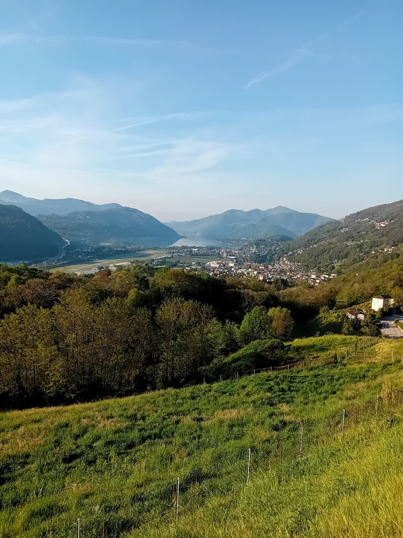 Living in the green with style – spacious 4.5 rooms with garden (10)