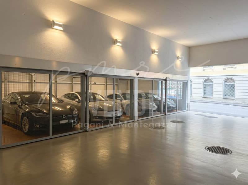 Grosszügige 4,5-Zimmer-Wohnung mit Privatgarten und Terrassen in Lugano-Cassarate (7)