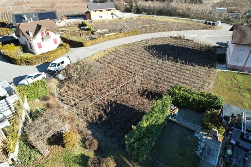 Semi-detached villas, new, Conthey, idyllic setting, 4.5 rooms, 5.5 rooms, lawns, terraces, sun, vineyard, ski (2)