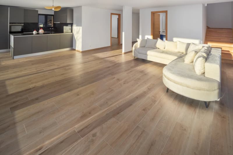 Chalet 5.5 rooms near Crans-Montana (9)