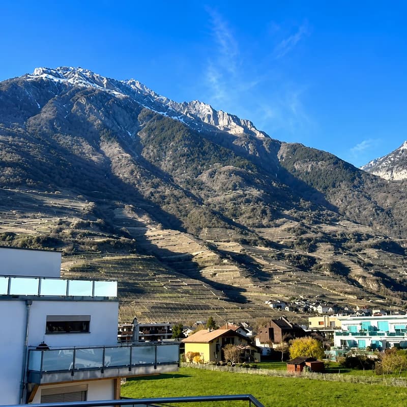 Fully ? 2.5-room apartment with large balcony and unobstructed view (3)