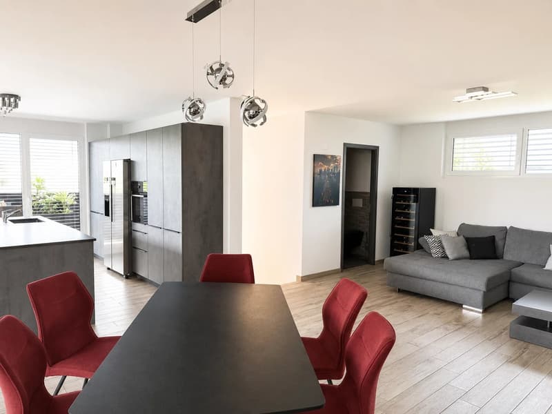 3.5 room apartment with large covered terrace (10)