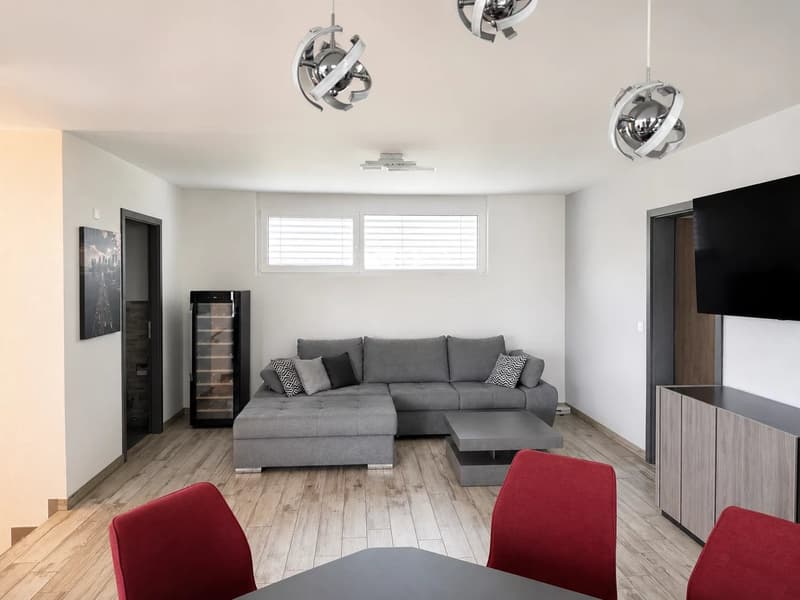 3.5 room apartment with large covered terrace (11)