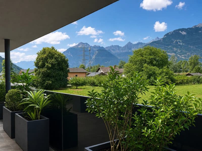 3.5 room apartment with large covered terrace (6)