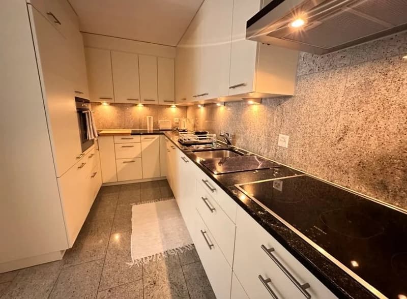 Apartment for rent in Lausanne (4)