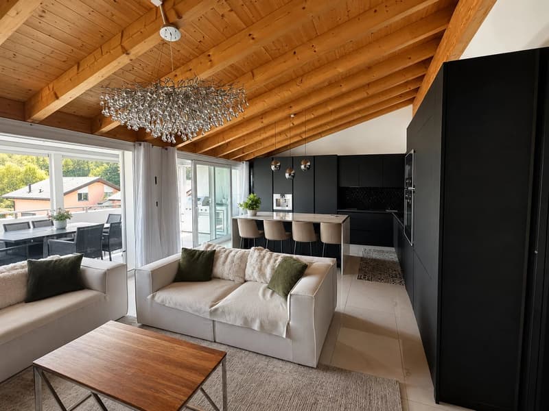Attique 5,5 pièces - haut standing - terrasse 40 m², jacuzzi domotique (6)