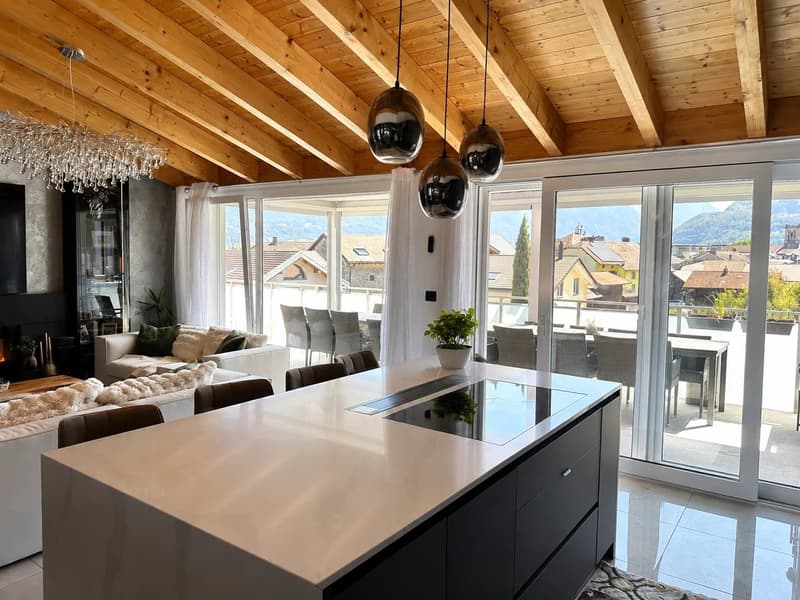 Attique 5,5 pièces - haut standing - terrasse 40 m², jacuzzi domotique (8)