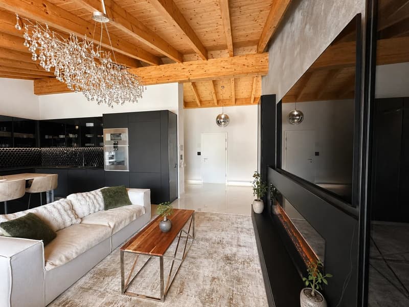 Attique 5,5 pièces - haut standing - terrasse 40 m², jacuzzi domotique (9)