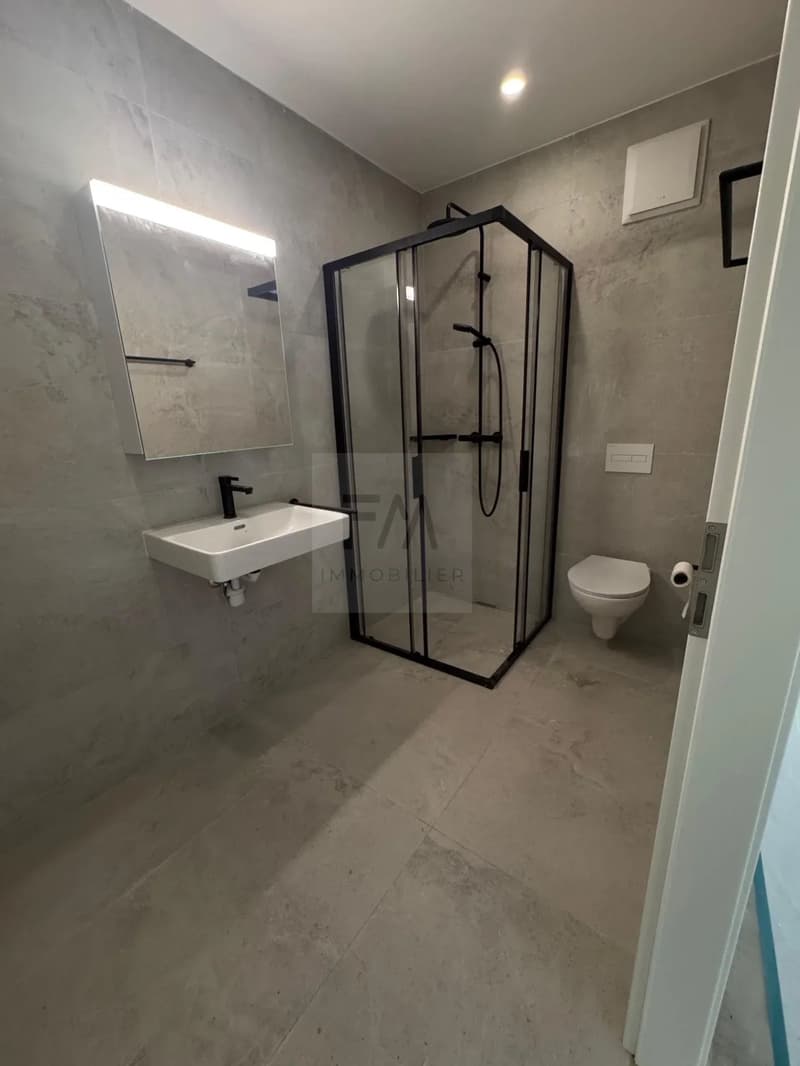A louer appartement neuf 2,5 pièces à Aproz (Sion) (4)