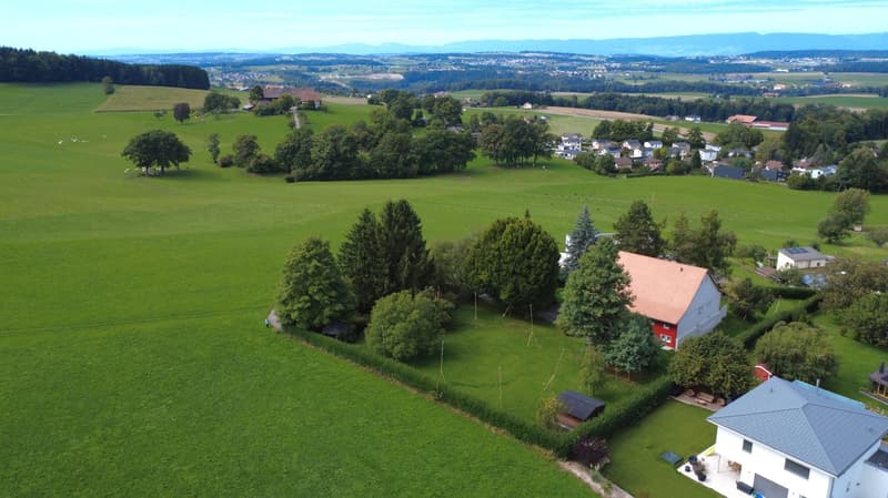 Projet Pra Nova - Last villa available! (11)