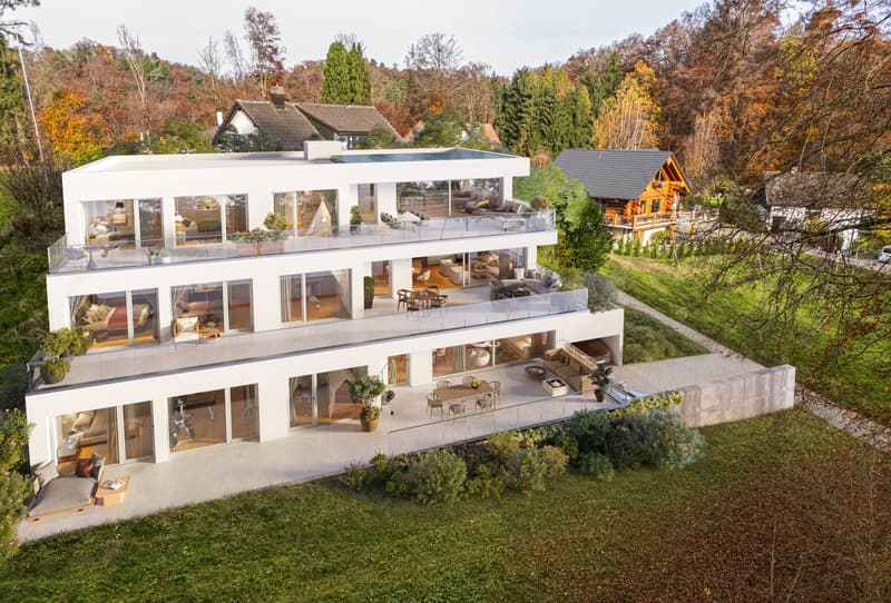 Under construction - Exclusive small PPE with 3 apartments (2)