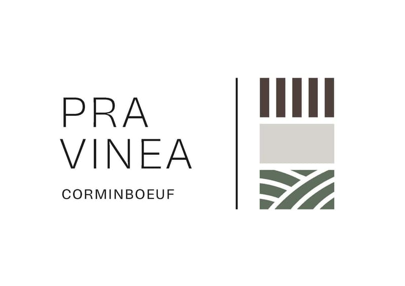 Pra Vinea | L’architecture au cœur du lieu de vie | Villa B (6)